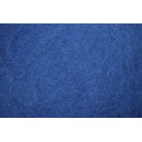 Mėlynos spalvos karšinys (Naujiena) Mėlynos spalvos karšinys (Naujiena)