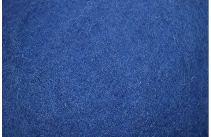 Mėlynos spalvos karšinys (Naujiena)