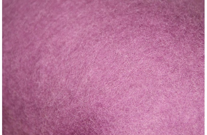 Šviesiai Violetinės spalvos karšinys NAUJIENA
