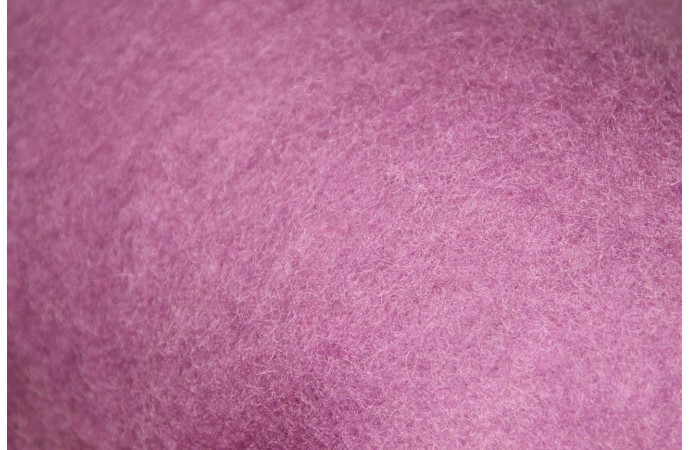 Šviesiai Violetinės spalvos karšinys NAUJIENA