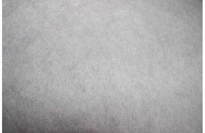 Pelenų spalvos karšinys Pelenų spalvos karšinys