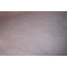 Sakurų spalvos karšinys