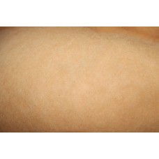 Smėlio spalvos karšinys