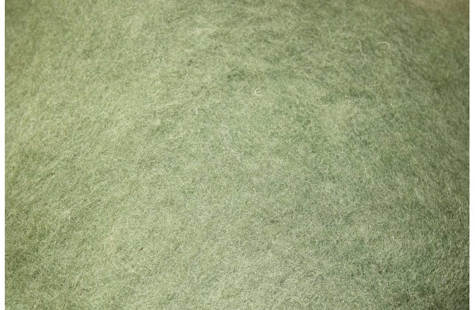 Žolės spalvos karšinys (Naujiena)